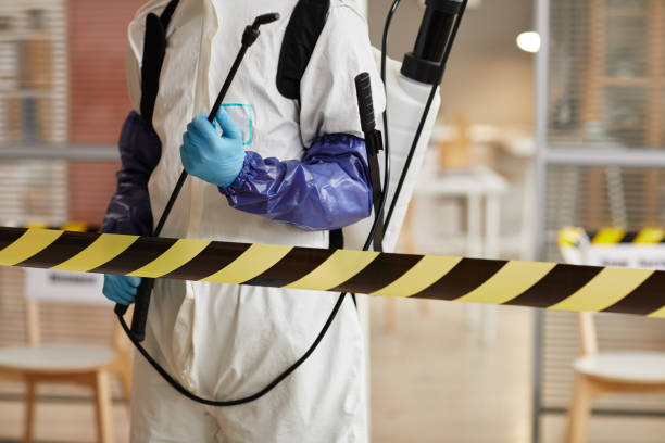 Professional Odor Removal technician working in Flora, IL